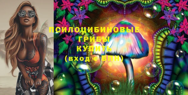 прущие крисы Абинск