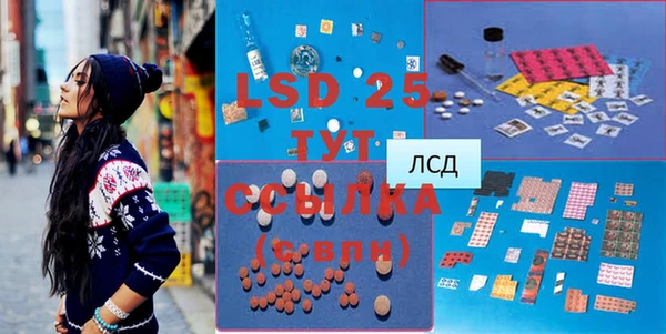 ПСИЛОЦИБИНОВЫЕ ГРИБЫ Абаза