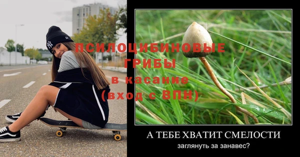 ПСИЛОЦИБИНОВЫЕ ГРИБЫ Абаза