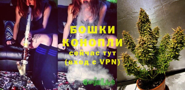 крисы Пересвет