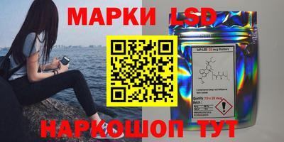 МДПВ Новозыбков