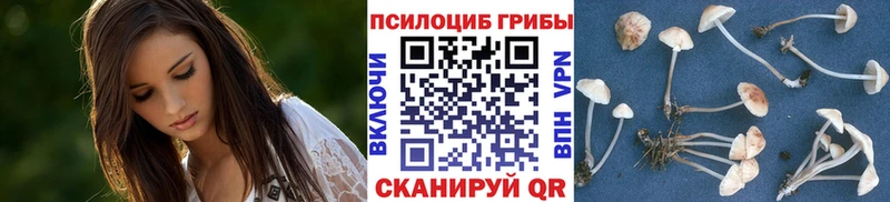 даркнет сайт  Нягань  Псилоцибиновые грибы мицелий 
